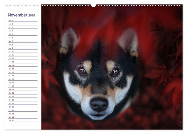 Produktbild: Japans Seelenhunde (Wandkalender 2026 DIN A2 quer), CALVENDO Monatskalender