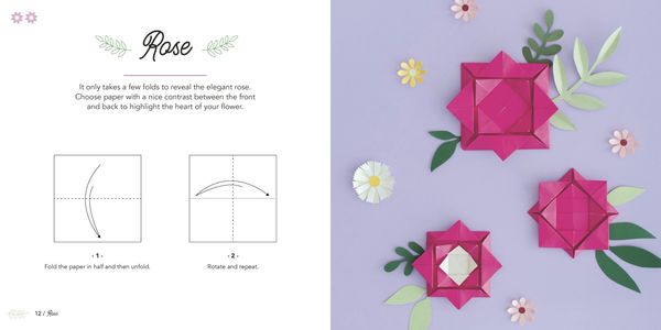 Produktbild: Easy Origami Flowers