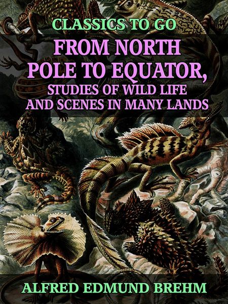 Produktbild: From North Pole to Equator, Studies of Wild Life and Scenes in Many Lands