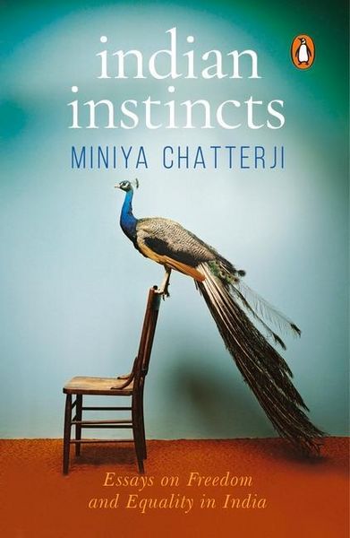 Produktbild: Indian Instincts