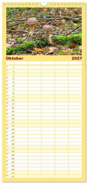 Produktbild: Familienplaner 2027 - Heimische Pilze mit 5 Spalten (Wandkalender, 21 x 45 cm) CALVENDO