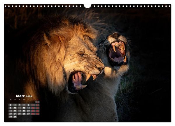 Produktbild: Action in der Savanne (Wandkalender 2026 DIN A3 quer), CALVENDO Monatskalender