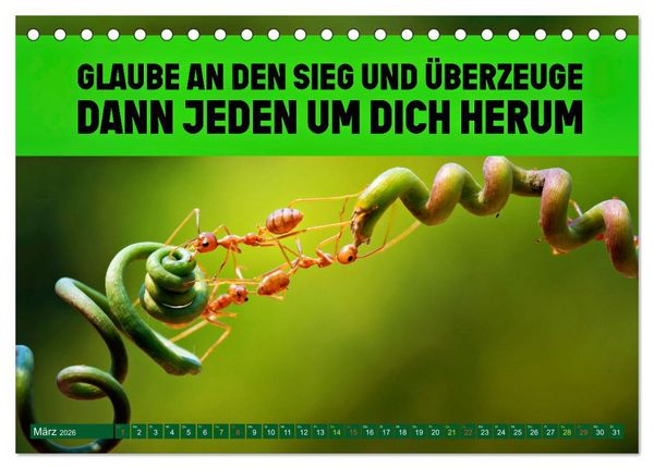 Produktbild: Gemeinsam sind wir stark - motivierende Spr&uuml;che &uuml;ber Teams (Tischkalender 2026 DIN A5 quer), CALVENDO Monatskalender