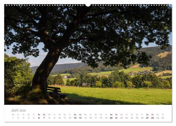Produktbild: Wundersch&ouml;ne B&auml;ume im Sauerland (Wandkalender 2026 DIN A2 quer), CALVENDO Monatskalender