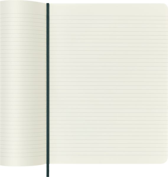 Produktbild: Moleskine Vegea Boa Notizbuch, XL, liniert, weicher Einband, gr&uuml;n, in Box