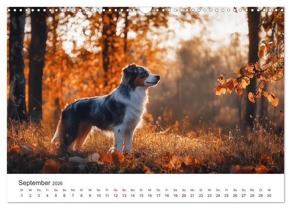 Produktbild: Wundert&uuml;te auf vier Pfoten - Mischlingshunde mit Charme (Wandkalender 2026 DIN A3 quer), CALVENDO Monatskalender
