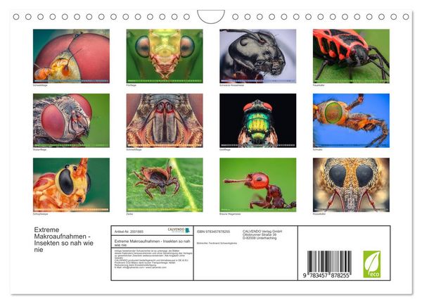 Produktbild: Extreme Makroaufnahmen - Insekten so nah wie nie (Wandkalender 2026 DIN A4 quer), CALVENDO Monatskalender