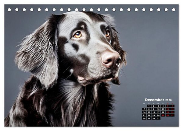 Produktbild: Only Black (Tischkalender 2026 DIN A5 quer), CALVENDO Monatskalender