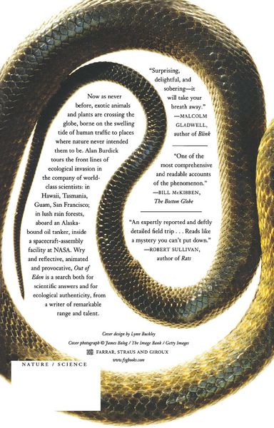 Produktbild: Out of Eden