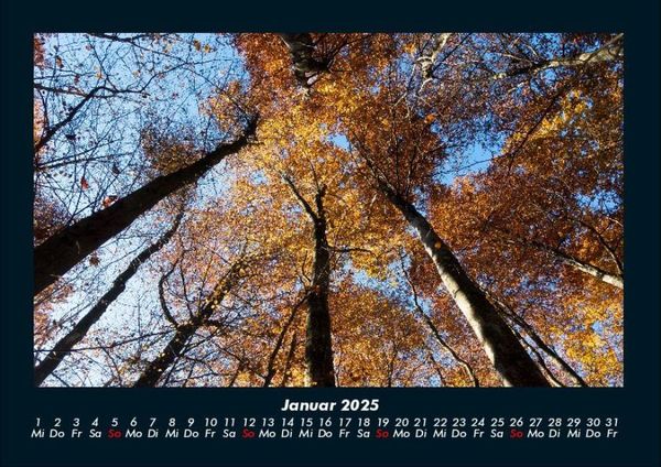 Produktbild: Waldzauber 2025 Fotokalender DIN A4