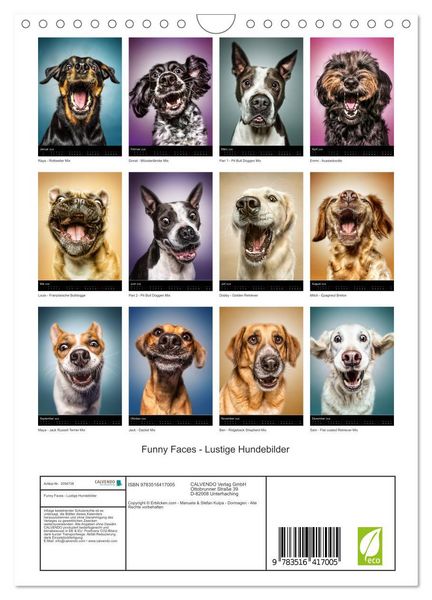 Produktbild: Funny Faces - Lustige Hundebilder (Wandkalender 2026 DIN A4 hoch), CALVENDO Monatskalender