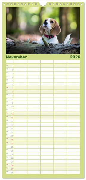 Produktbild: Familienplaner 2026 - Beaglebabys auf Entdeckungstour mit 5 Spalten (Wandkalender, 21 x 45 cm) CALVENDO
