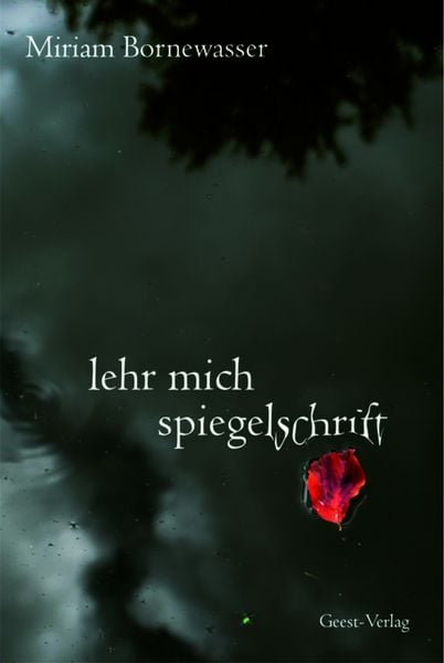 Produktbild: Lehr mich spiegelschrift
