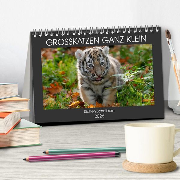 Produktbild: GROSSKATZEN GANZ KLEIN (Tischkalender 2026 DIN A5 quer), CALVENDO Monatskalender