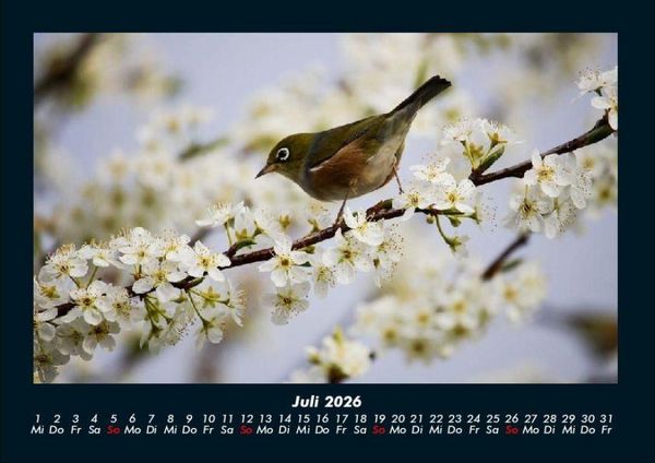 Produktbild: Vogelparadies 2026 Fotokalender DIN A4