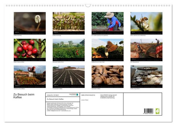 Produktbild: Zu Besuch beim Kaffee (Wandkalender 2026 DIN A2 quer), CALVENDO Monatskalender