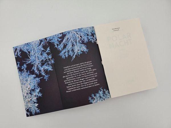 Produktbild: Polarnacht