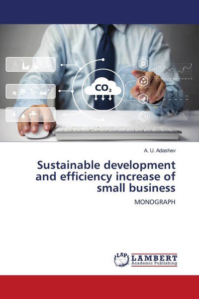 Produktbild: Sustainable development and efficiency increase of small business