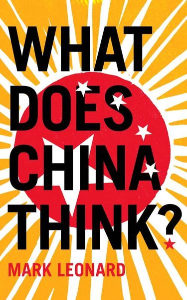 Produktbild: What Does China Think?