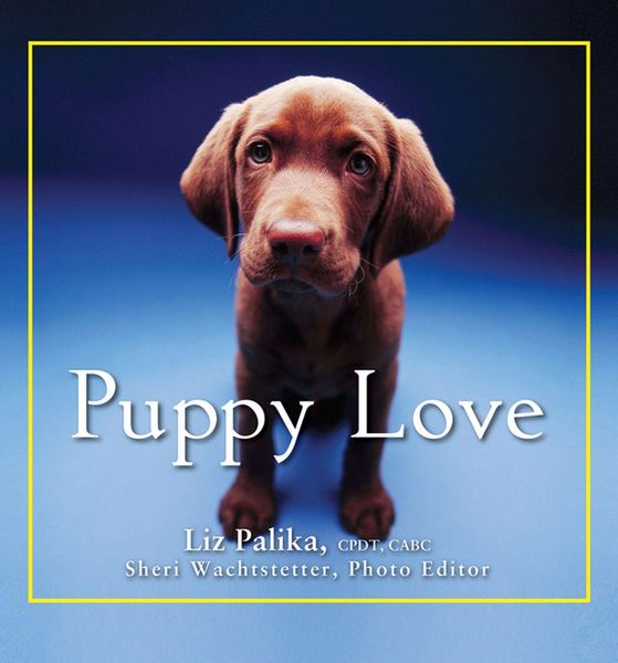 Produktbild: Puppy Love