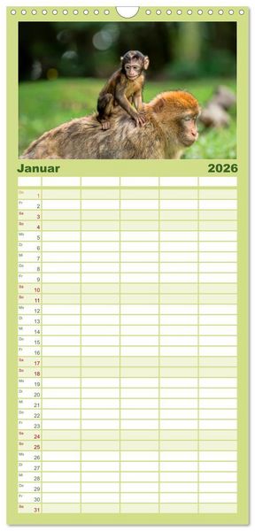 Produktbild: Familienplaner 2026 - Affen - Affenkinder mit 5 Spalten (Wandkalender, 21 x 45 cm) CALVENDO