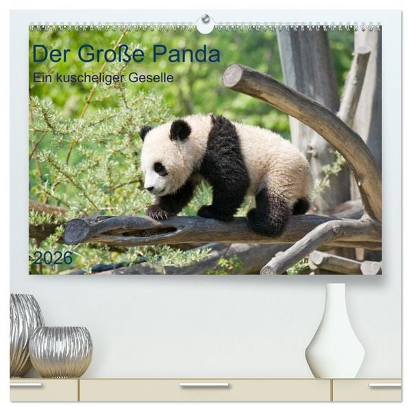 Produktbild: Der Gro&szlig;e Panda Ein kuscheliger Geselle (hochwertiger Premium Wandkalender 2026 DIN A2 quer), Kunstdruck in Hochglanz