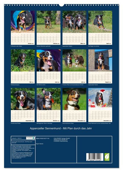 Produktbild: Appenzeller Sennenhund - Mit Plan durch das Jahr (hochwertiger Premium Wandkalender 2026 DIN A2 hoch), Kunstdruck in Hochglanz