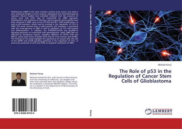 Produktbild: The Role of p53 in the Regulation of Cancer Stem Cells of Glioblastoma