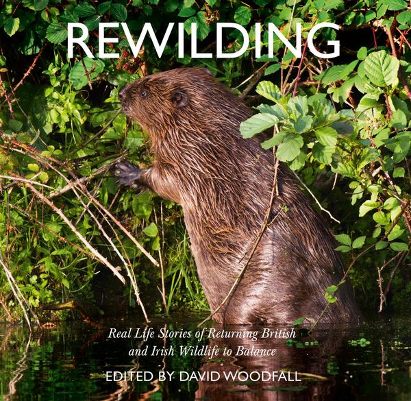 Produktbild: Rewilding
