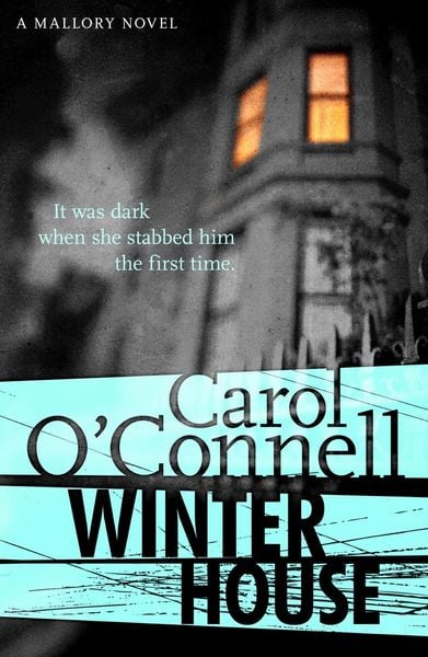 Produktbild: Winter House