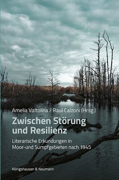 Produktbild: Zwischen St&ouml;rung und Resilienz