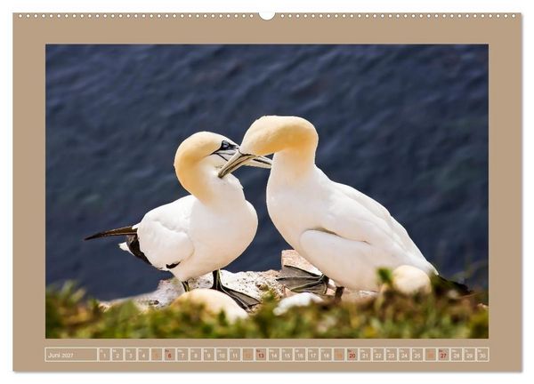 Produktbild: Helgoland,Deutschlands rote Felsen (Wandkalender 2027 DIN A2 quer), CALVENDO Monatskalender