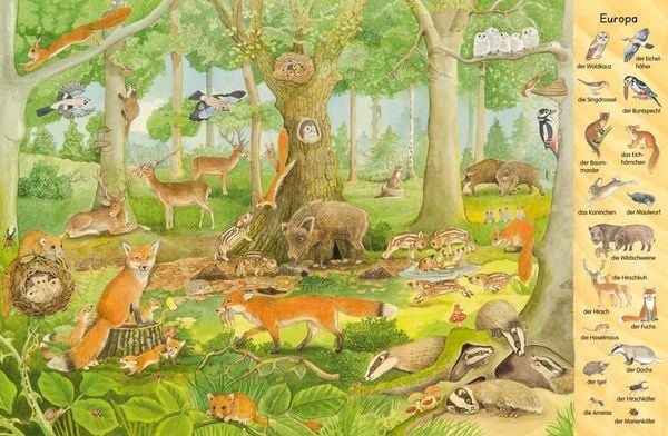 Mein erstes Wimmelbuch: Tiere aus aller Welt