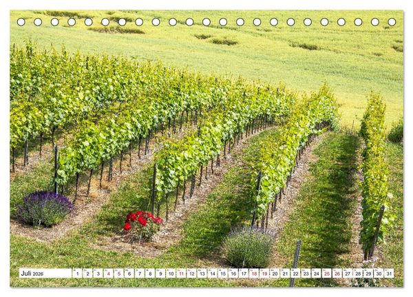 Produktbild: Weinberge um Jena (Tischkalender 2026 DIN A5 quer), CALVENDO Monatskalender