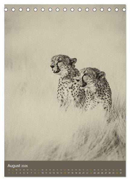 Produktbild: Afrikas Tierwelt - Sepia-Art (Tischkalender 2026 DIN A5 hoch), CALVENDO Monatskalender