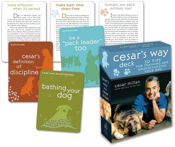 Produktbild: Cesar's Way Deck