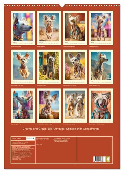 Produktbild: Charme und Grazie. Die Anmut der Chinesischen Schopfhunde (Wandkalender 2027 DIN A2 hoch), CALVENDO Monatskalender
