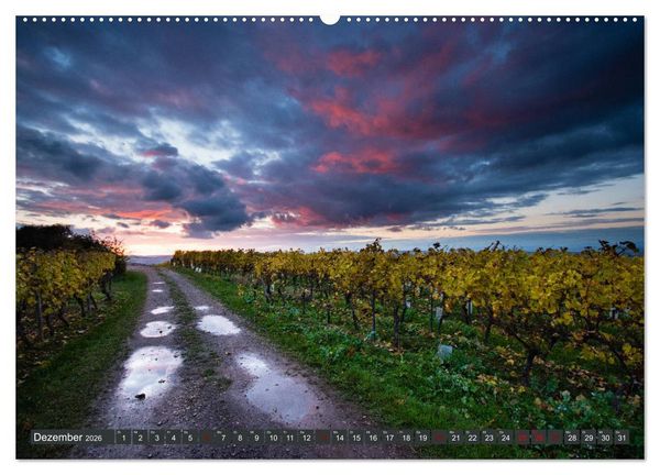 Produktbild: Wein - Landschaften (Wandkalender 2026 DIN A2 quer), CALVENDO Monatskalender
