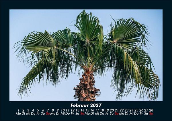 Produktbild: Palmentraum 2027 Fotokalender DIN A5