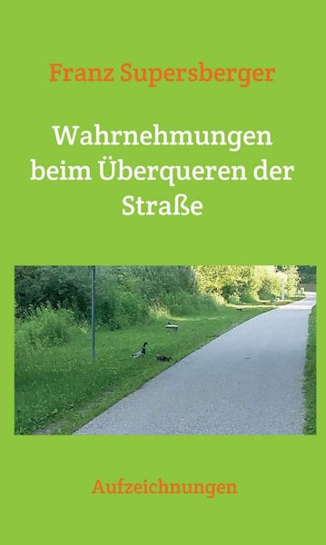 Produktbild: Wahrnehmungen beim &Uuml;berqueren der Stra&szlig;e