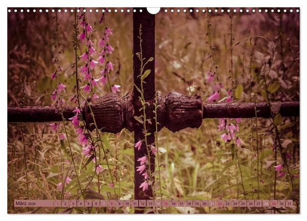 Produktbild: Wildwuchs 2026 (Wandkalender 2026 DIN A3 quer), CALVENDO Monatskalender