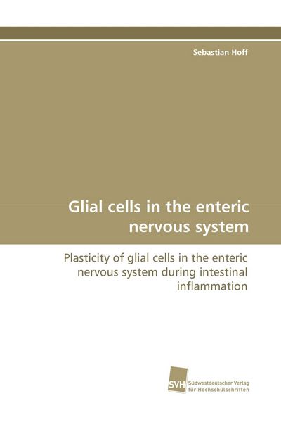 Produktbild: Glial cells in the enteric nervous system
