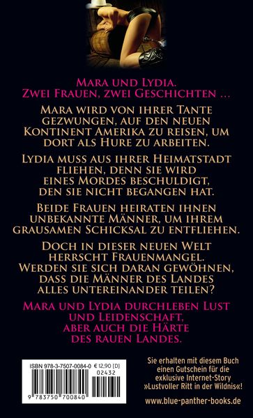 Produktbild: Die harte Lust des wilden Westens | Erotische Geschichten