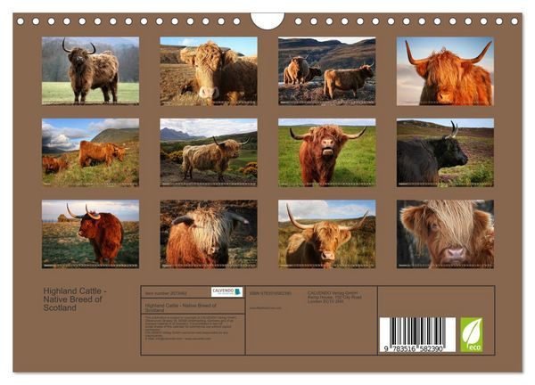 Produktbild: Highland Cattle - Native Breed of Scotland (Wall Calendar 2026 DIN A4 landscape), CALVENDO 12 Month Wall Calendar