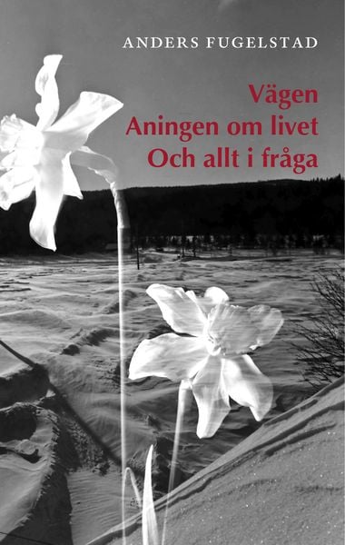 Produktbild: V&auml;gen Aningen om livet Och allt i fr&aring;ga