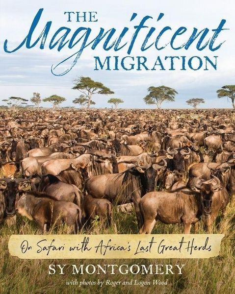 Produktbild: The Magnificent Migration