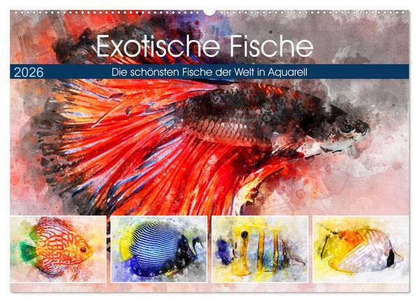 Exotische Fische - Die schönsten Fische der Welt in Aquarell (Wandkalender 2026 DIN A2 quer), CALVENDO Monatskalender