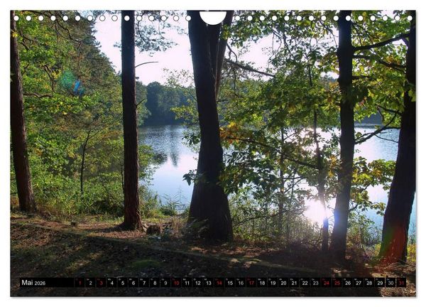 Produktbild: Brandenburg'sche Impressionen (Wandkalender 2026 DIN A4 quer), CALVENDO Monatskalender