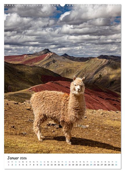 Produktbild: Peru in S&uuml;damerika (Wandkalender 2026 DIN A2 hoch), CALVENDO Monatskalender