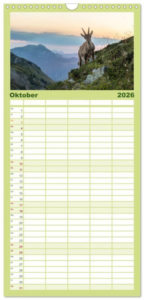 Produktbild: Familienplaner 2026 - Steinbock - K&ouml;nig der Alpen mit 5 Spalten (Wandkalender, 21 x 45 cm) CALVENDO